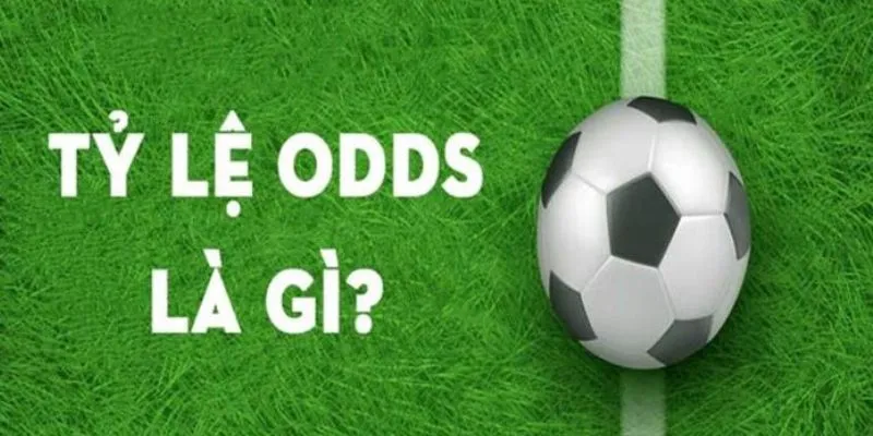 Odds là gì? Khái niệm cơ bản về tỷ lệ cược