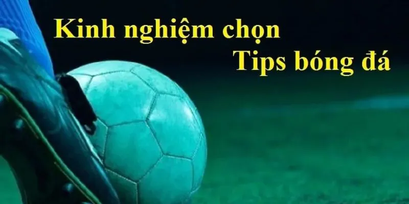 5 tips bóng đá được người chơi tin dùng nhất