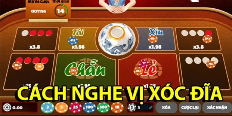 Hướng dẫn chi tiết cách nghe vị xóc đĩa hiệu quả